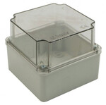 Коробка BS 120x120x100 прозора кришка