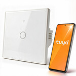 Inteligentny łącznik dotykowy światła 1-kanałowy Wi-Fi Timer Tuya Smart Life hartowane szkło biały, QOLTEC