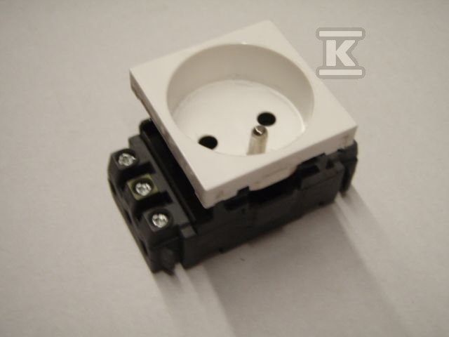 M45: DLP socket 2P+Z screw connection - 077331