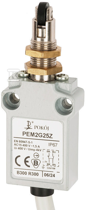 Interrupteur de fin de course PEM2G25X - A37-B91X