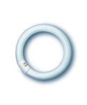 Circular fluorescent lamp L 22W/827C G10Q