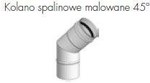 Kolano spalinowe malowane 100, 45°