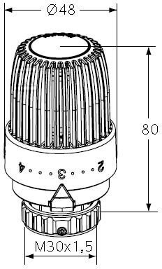 Głowica termostatyczna S z - 6853-40.500