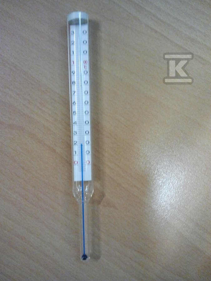 Thermometer b / housing 1/2" 100C - T500