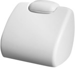 Oceanic toilet handle white