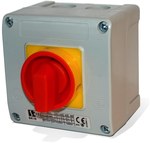 WIS P1 inspection and service switch