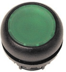 Drive M22S-D-G Green flat button with spring return