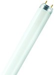 Fluorescent lamp L 36W/ 840-1 G13 RA 80