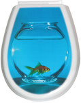 Сидіння для туалету ЛІЛІЯ ФОТО рибка
