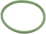 Green FPM gasket for high temperatures, Ø 200mm