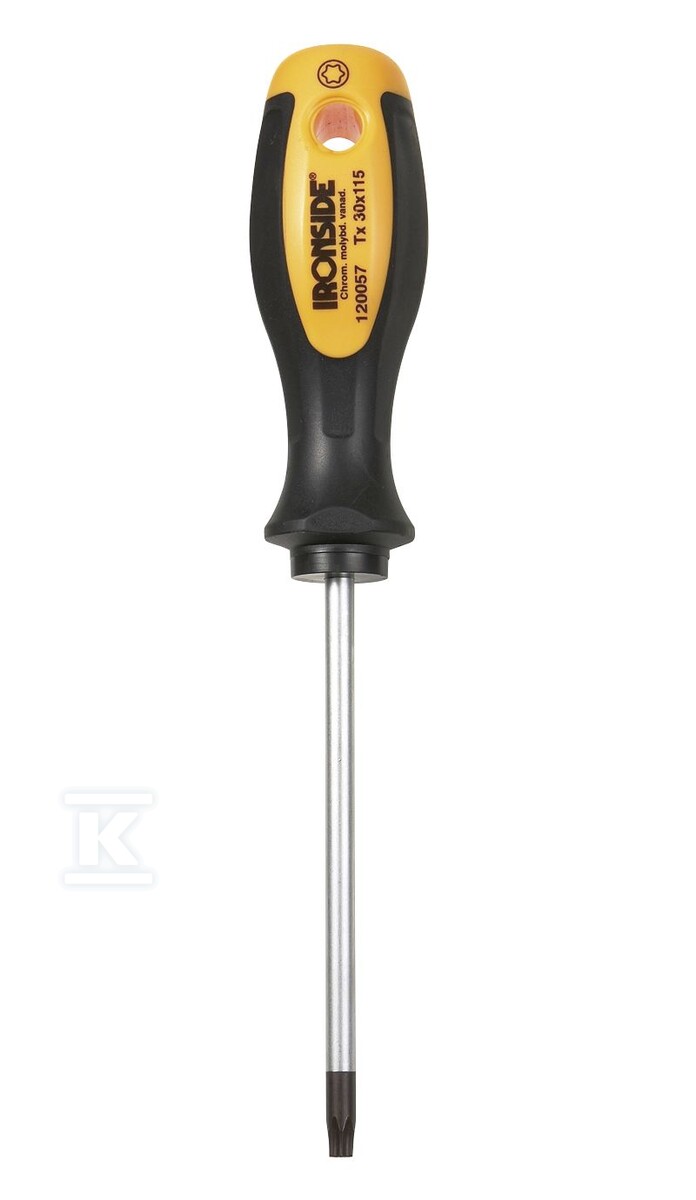 Screwdriver TX 8X60 120043/0165 - 500228345