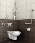 Flush-mounted frame for handles for the disabled