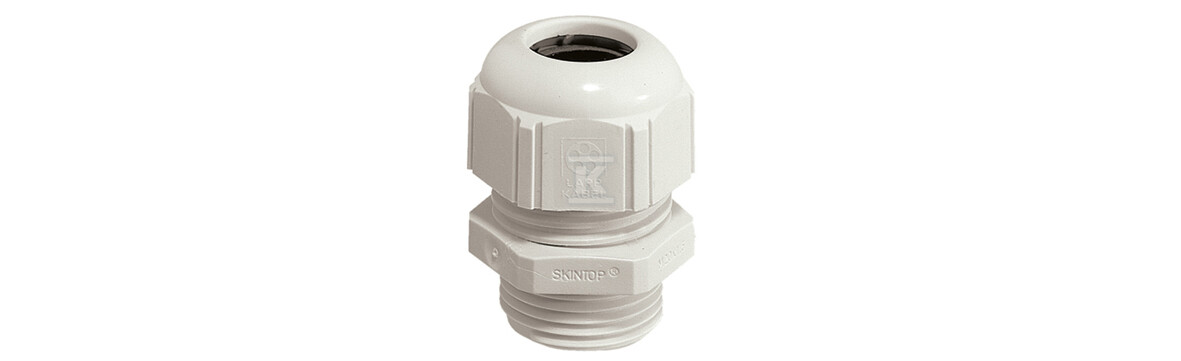 Кабельний ввід SKINTOP® ST-M 20X1.5 RAL - 53111420