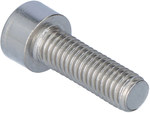 SAM8x25E screw