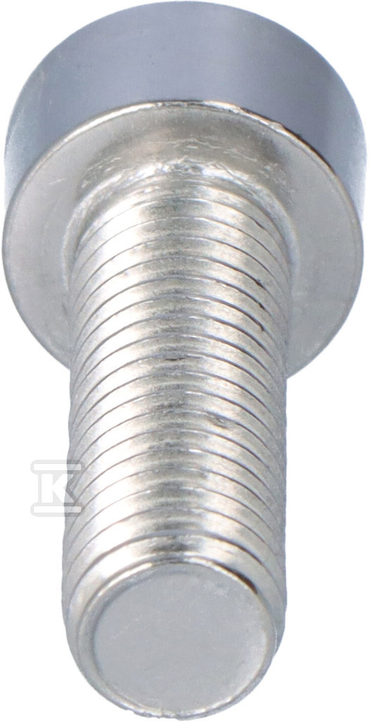 Śruba SAM8x25E - 898525