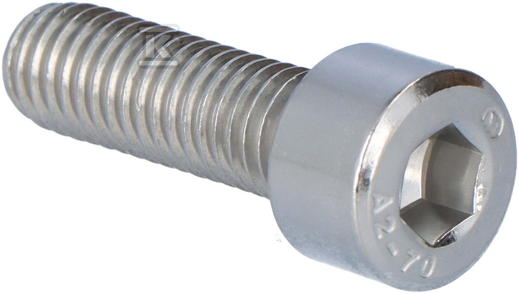 Śruba SAM8x25E - 898525