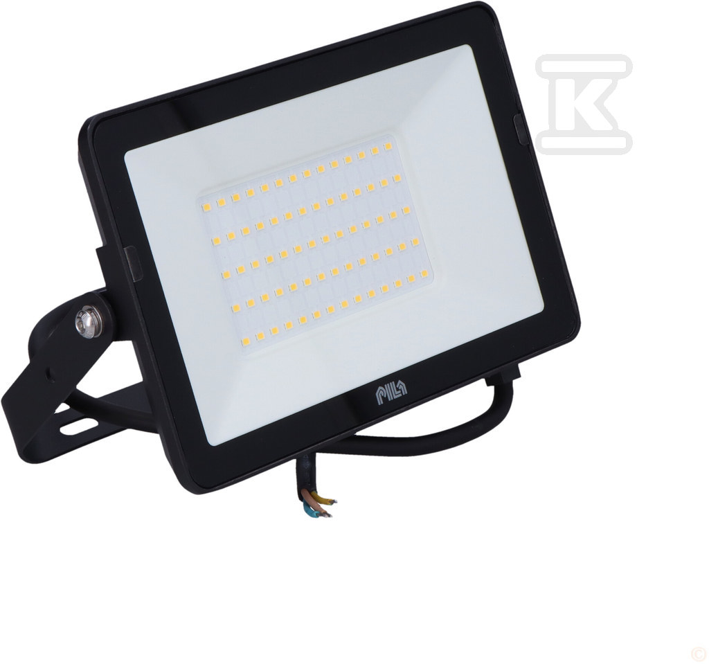 Світлодіодний прожектор PILA BVP008 50W - 911401824583