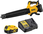 Dmuchawa 1 X 5Ah 18V XR