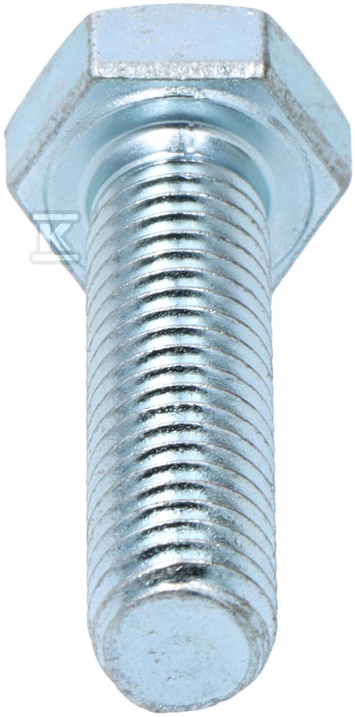 Болт з шестигранною головкою DIN 933 - B-069484-10E