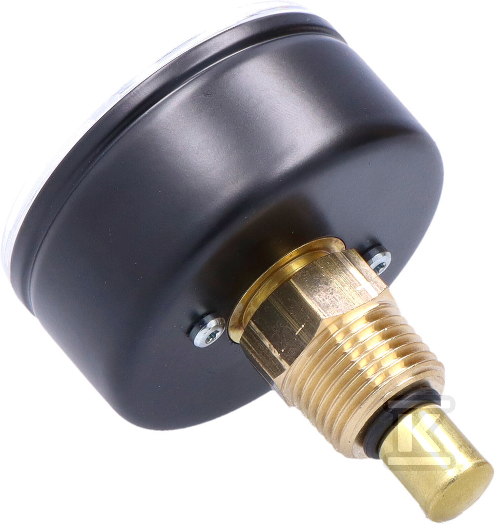 Термоманометр WP63T R1/2 0,6 MPa/120 - 7347043
