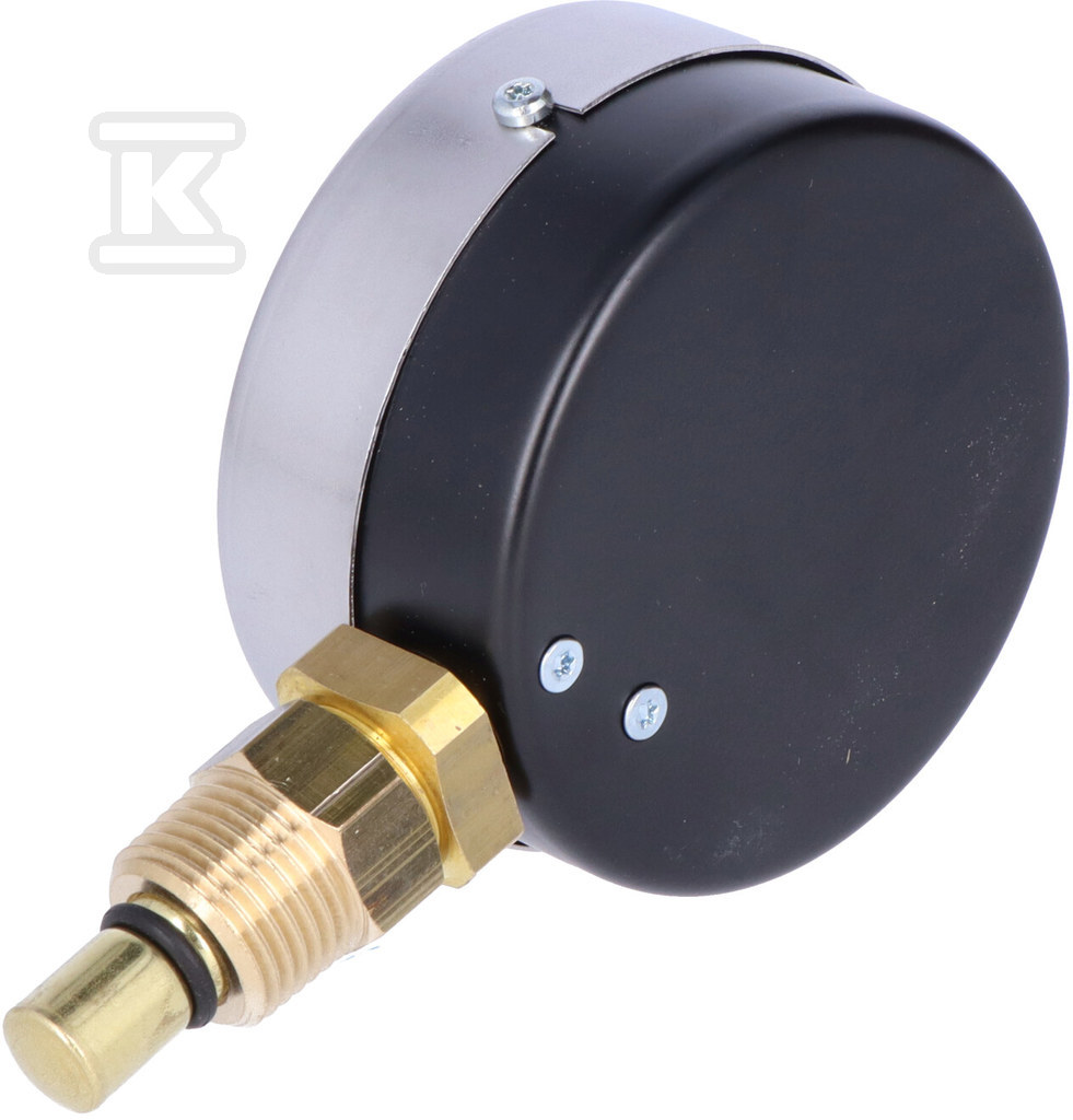 Термоманометр WP80R R1/2 0,6 MPa/120 - 7347336