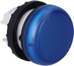 M22-L-B-Lampe, blauer Kopf