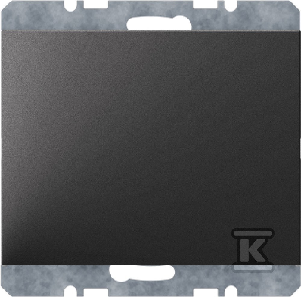 Zaślepka z płytką czołową, antracyt - 10457006