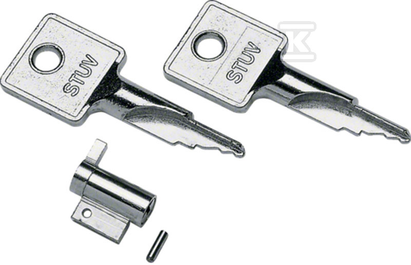 Lock + 2 keys vector / vector outdoor - VZ311