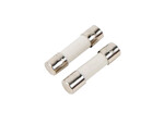 Bezpiecznik 5x20 mm, 16 A (2 szt.)