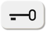 Symbol "klucz" Reflex biały alpejski 2525 TR-214