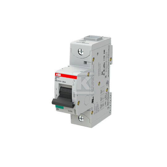 Wyłącznik nadmiarowo-prądowy, 1P, - 2CCS861001R0061