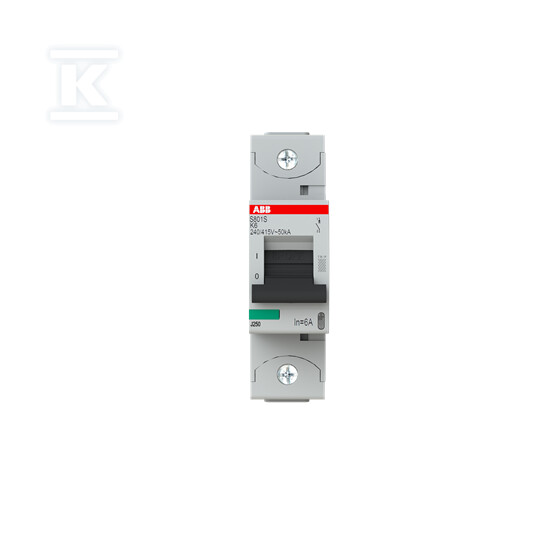 Wyłącznik nadmiarowo-prądowy, 1P, - 2CCS861001R0067
