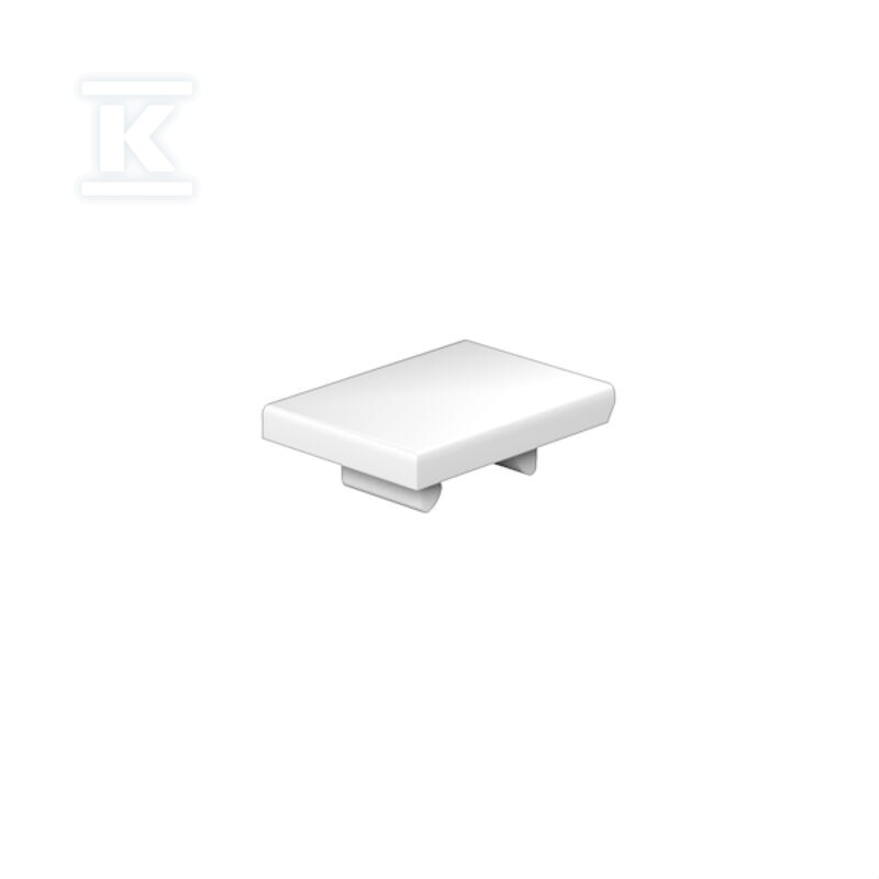 Oznaczenie terminala, biały, Raster w - 1889240000