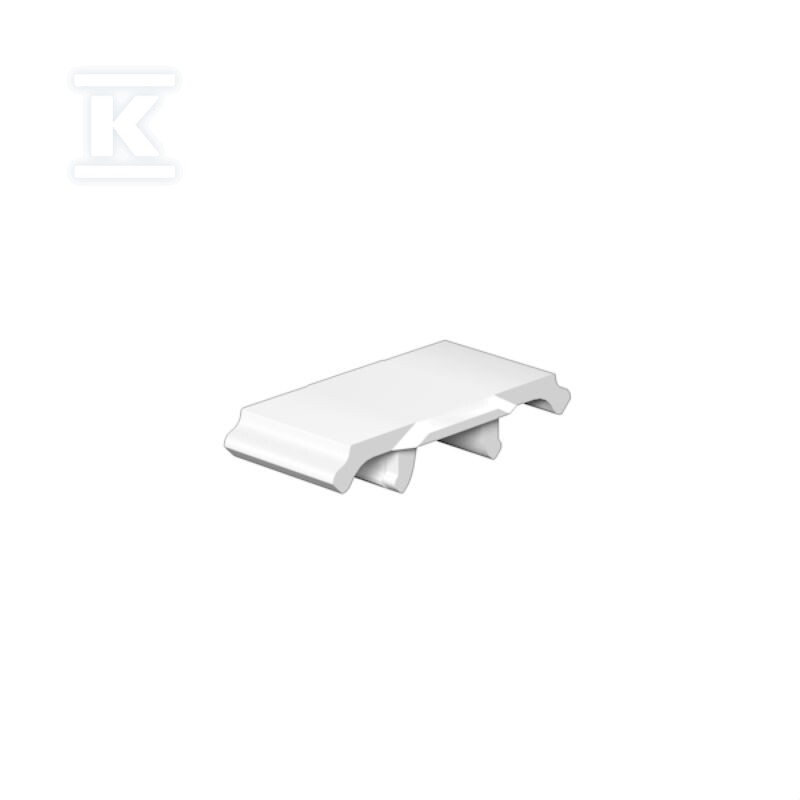 Oznaczenie terminala, biały, Raster w - 1011410000