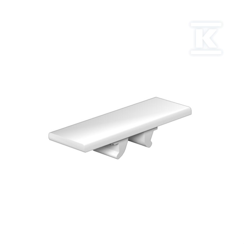 Oznaczenie terminala, biały, Raster w - 1609880000