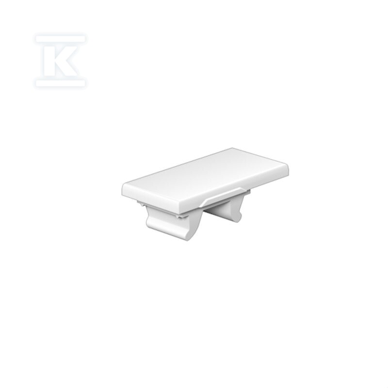 Oznaczenie terminala, biały, Raster w - 1046380000