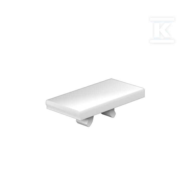 Oznaczenie terminala, biały, Raster w - 1692290000