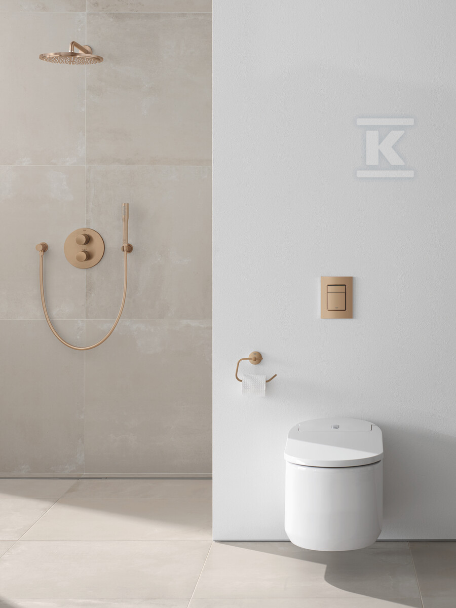 Rainshower Cosmopolitan 310 Верхній душ - 26066DL0
