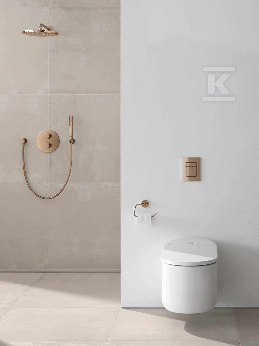 Rainshower Cosmopolitan 310 Верхній душ - 26066DA0