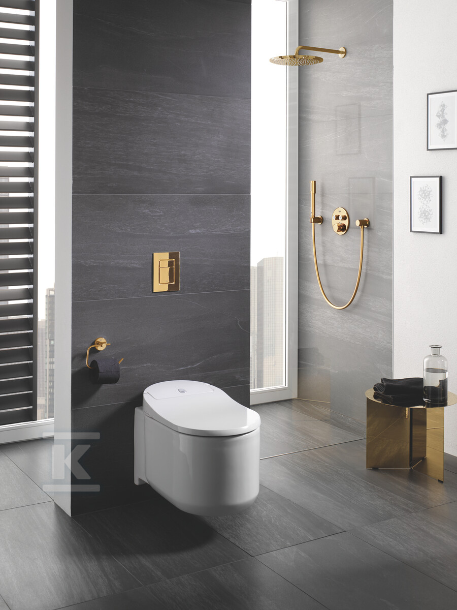 Верхній душ Rainshower Cosmopolitan 310 - 26066GL0