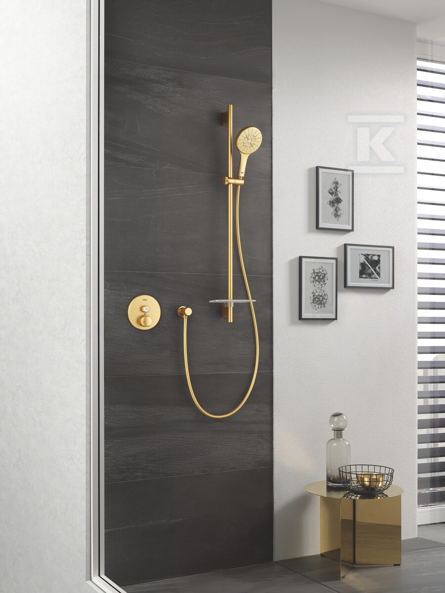 Rainshower SmartActive 130 Ручний душ 3 - 26574GN0