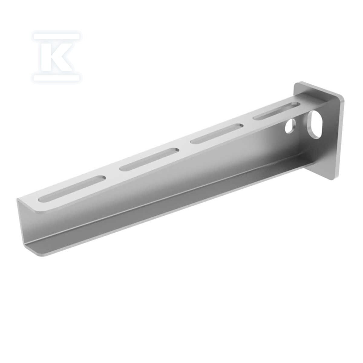 Heavy-duty clip DTN 100 F (20 pcs.) - DTN 100_F