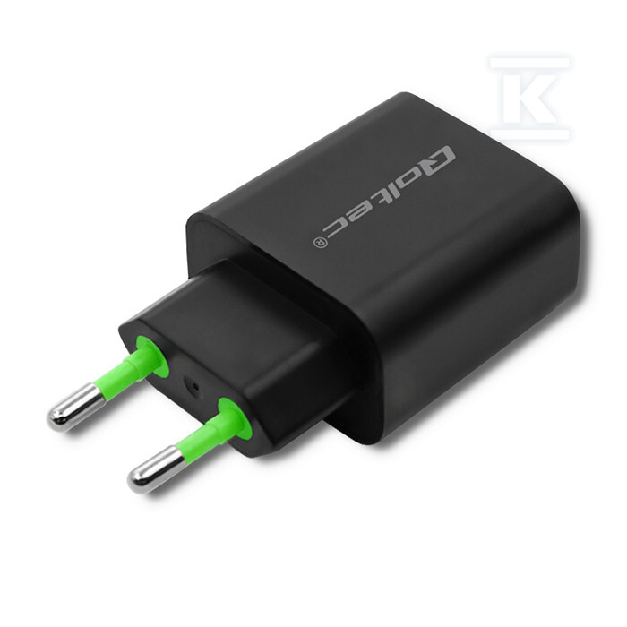 Мережевий зарядний пристрій - 51713