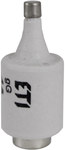 Fast fuse DII gF 4A 500V (BiWts)