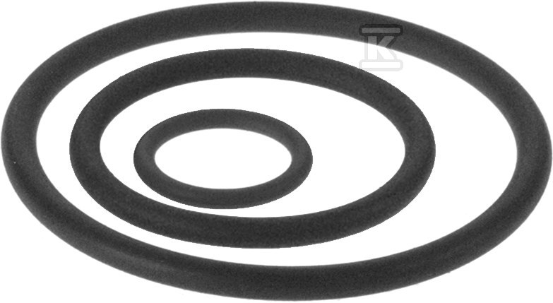 O-Ring EPDM Steel/Inox - 76.1 - 1609182023