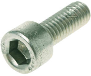 Metric screw - hexagon socket M8 (10 - 001343421