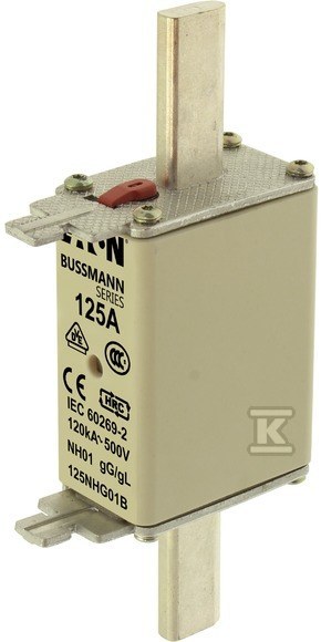 Fuse Link, LV, 125A, AC 500V, NH01, - 125NHG01B