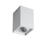 Стельовий точковий світильник накладного монтажу GORD XS DLP-50-W