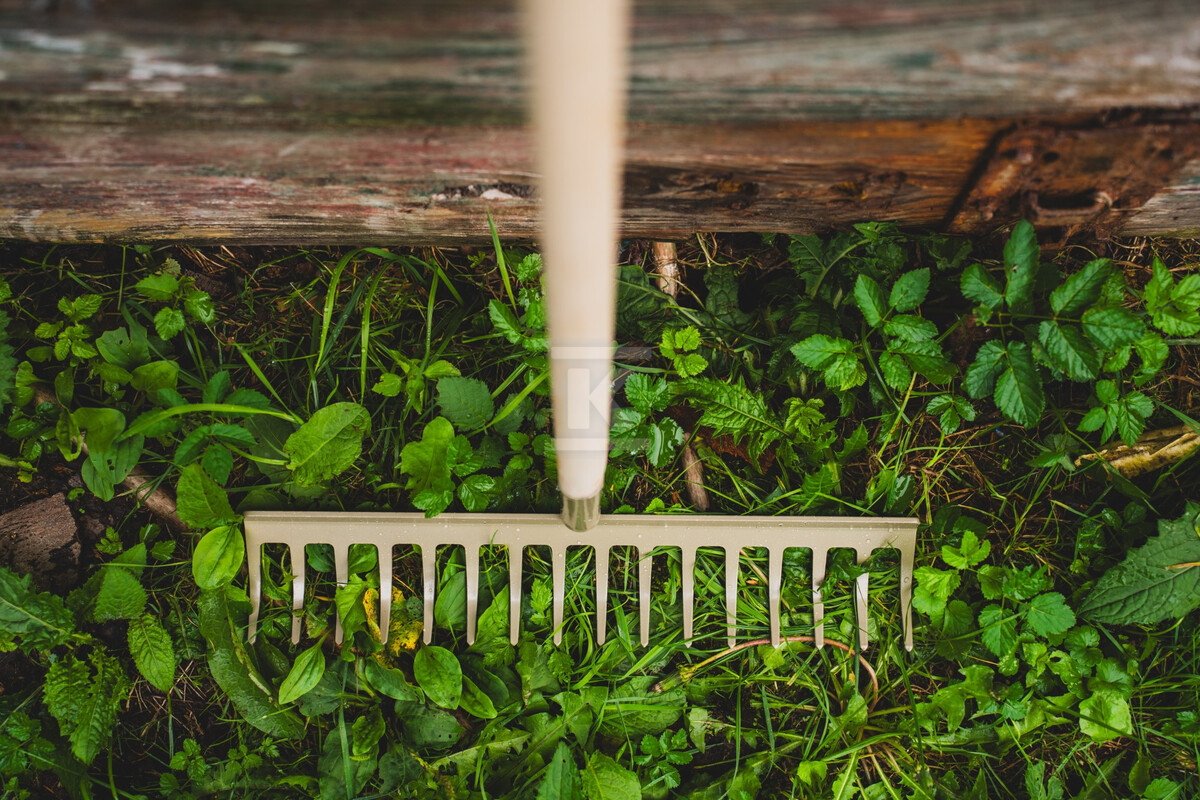 Grabie TRADITIONAL 12z - S105210606