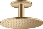 Głowica prysznicowa ShowerSolutions 300 1 strumieniowa z przyłączem sufitowym, brąz szczotkowany
